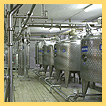 Food Sector