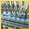 Food Sector Cost and Evaluation Service