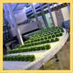 Construction & Refurbishment in Catering and Food Processing